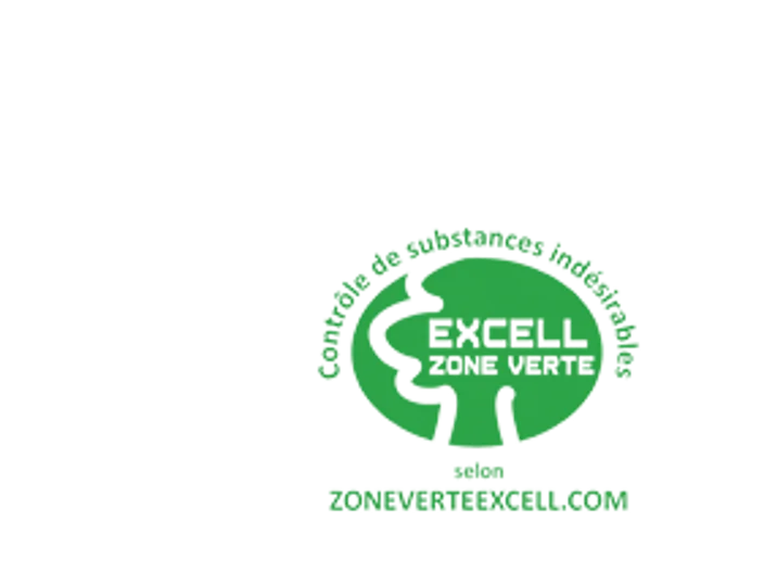 Logo Excelle Zone verte