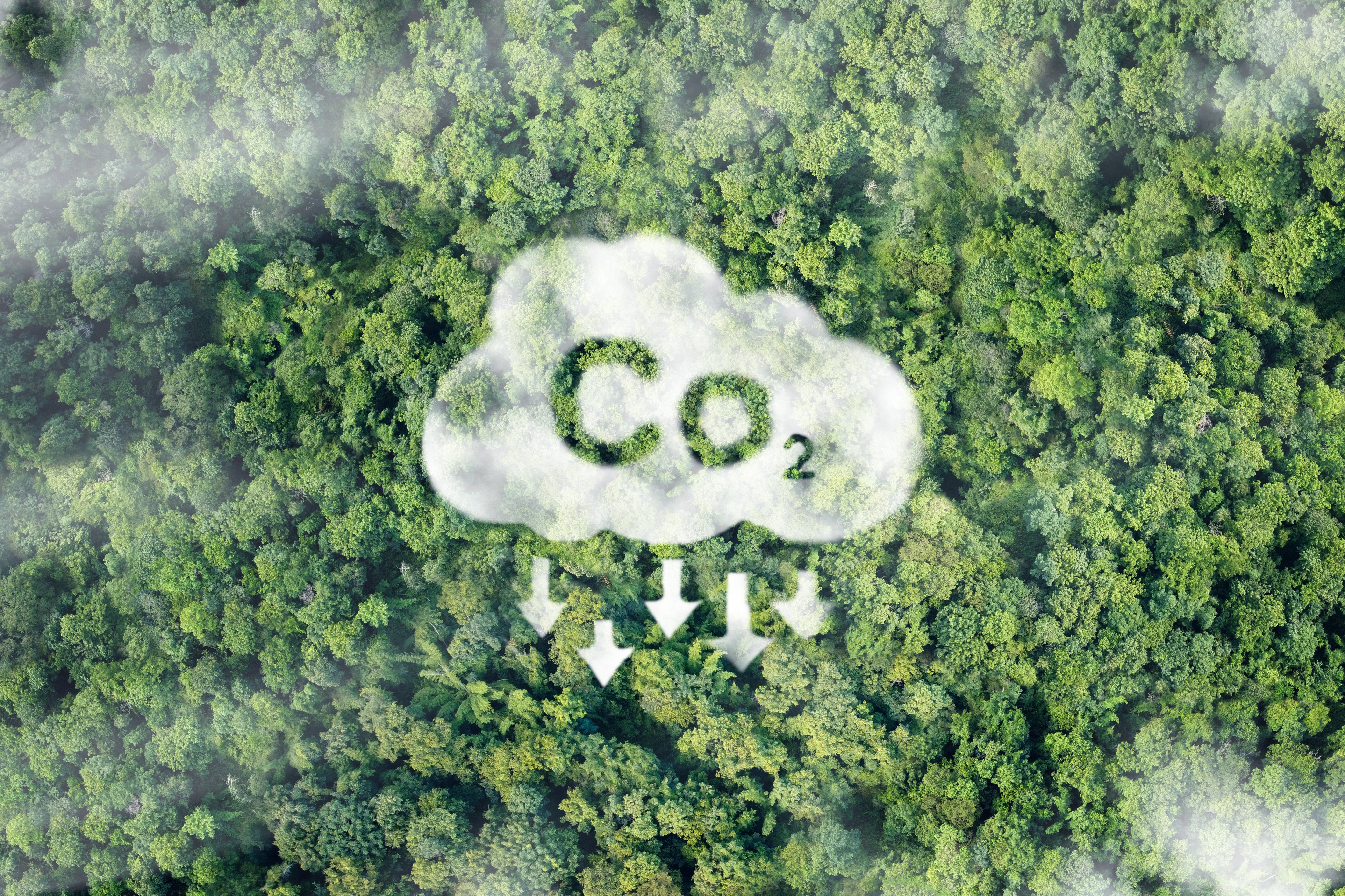 CO2 white fog Concept depicting the issue of carbon dioxide emissions