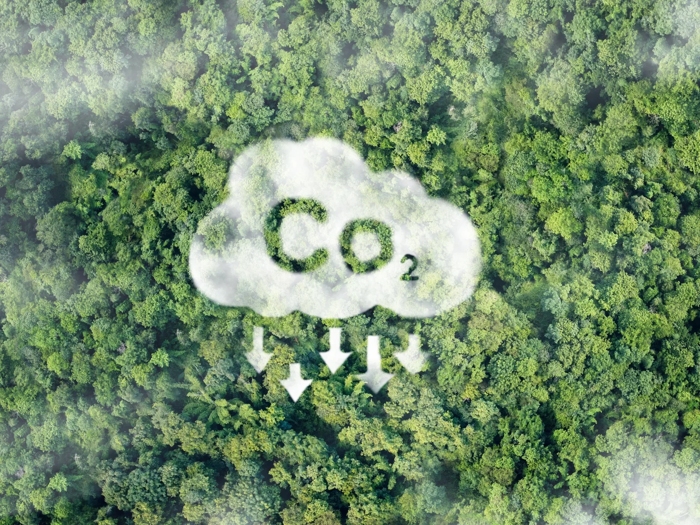 CO2 white fog Concept depicting the issue of carbon dioxide emissions