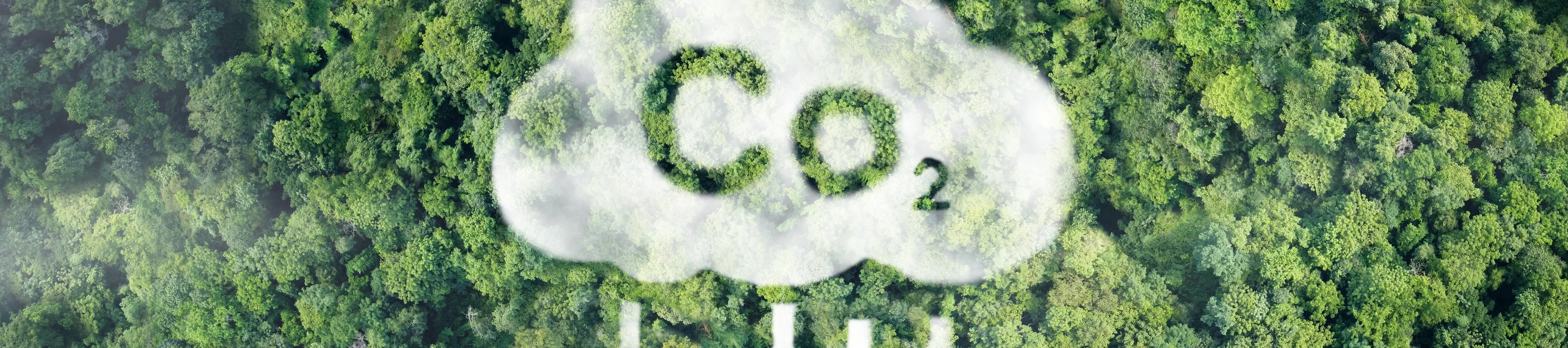 CO2 white fog Concept depicting the issue of carbon dioxide emissions
