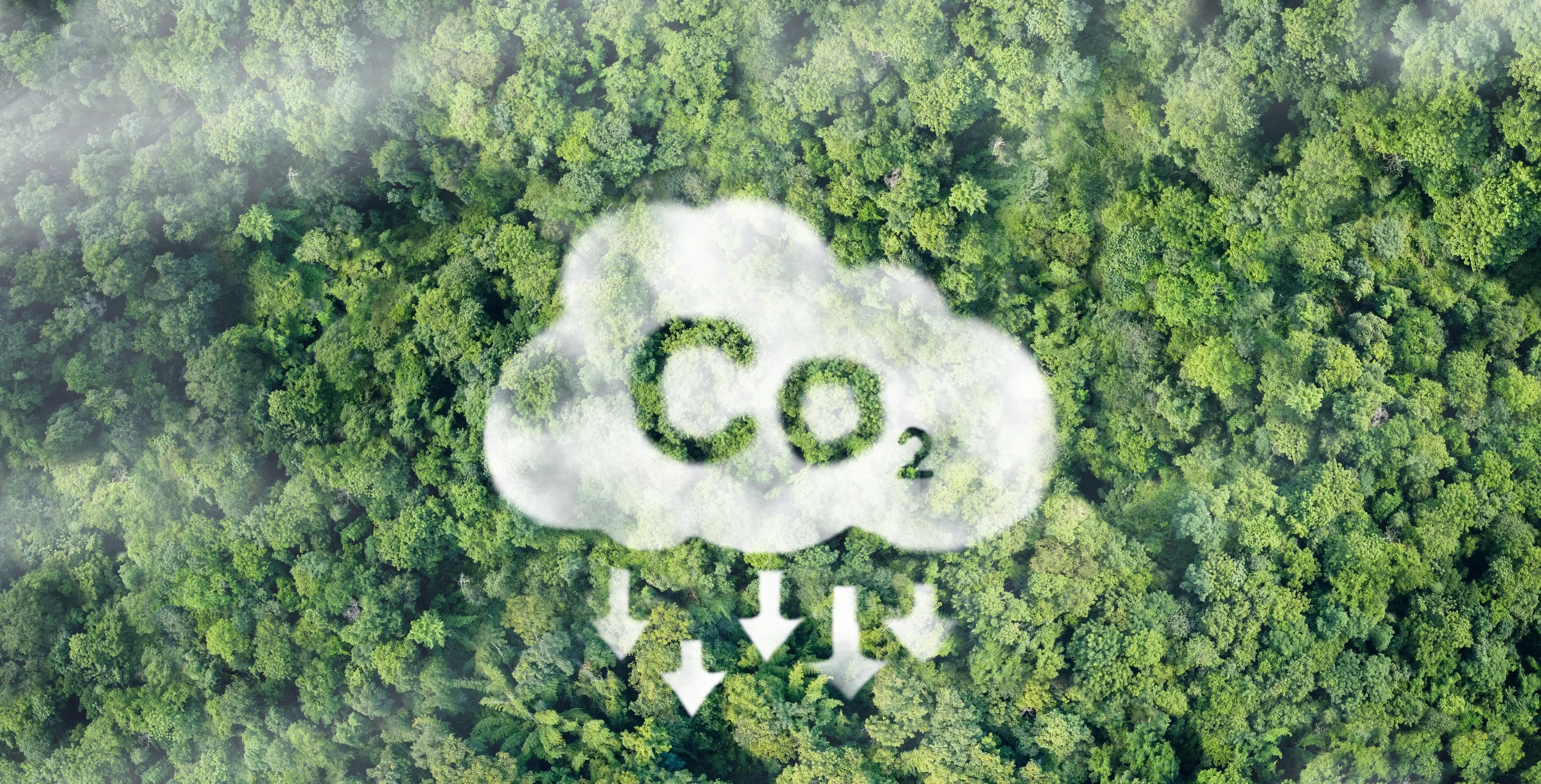 CO2 white fog Concept depicting the issue of carbon dioxide emissions