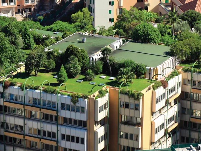 COPY_Green Roof-Urbanscape (3)