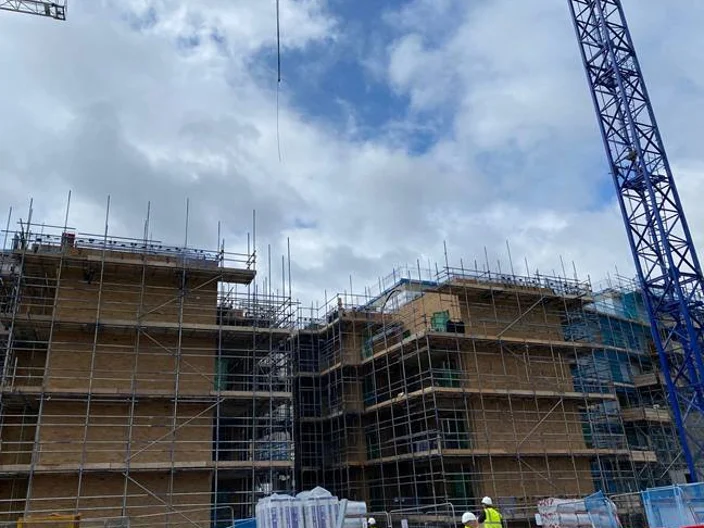 UK-GYP-Ladderswood
