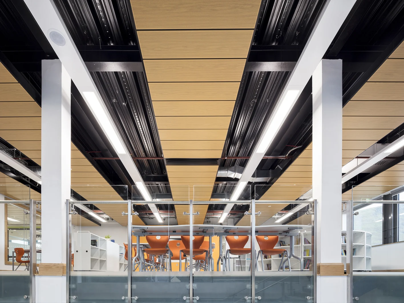 Mat-Ceiling-Wood-Design_UK-Ystalyfera-School.jpg