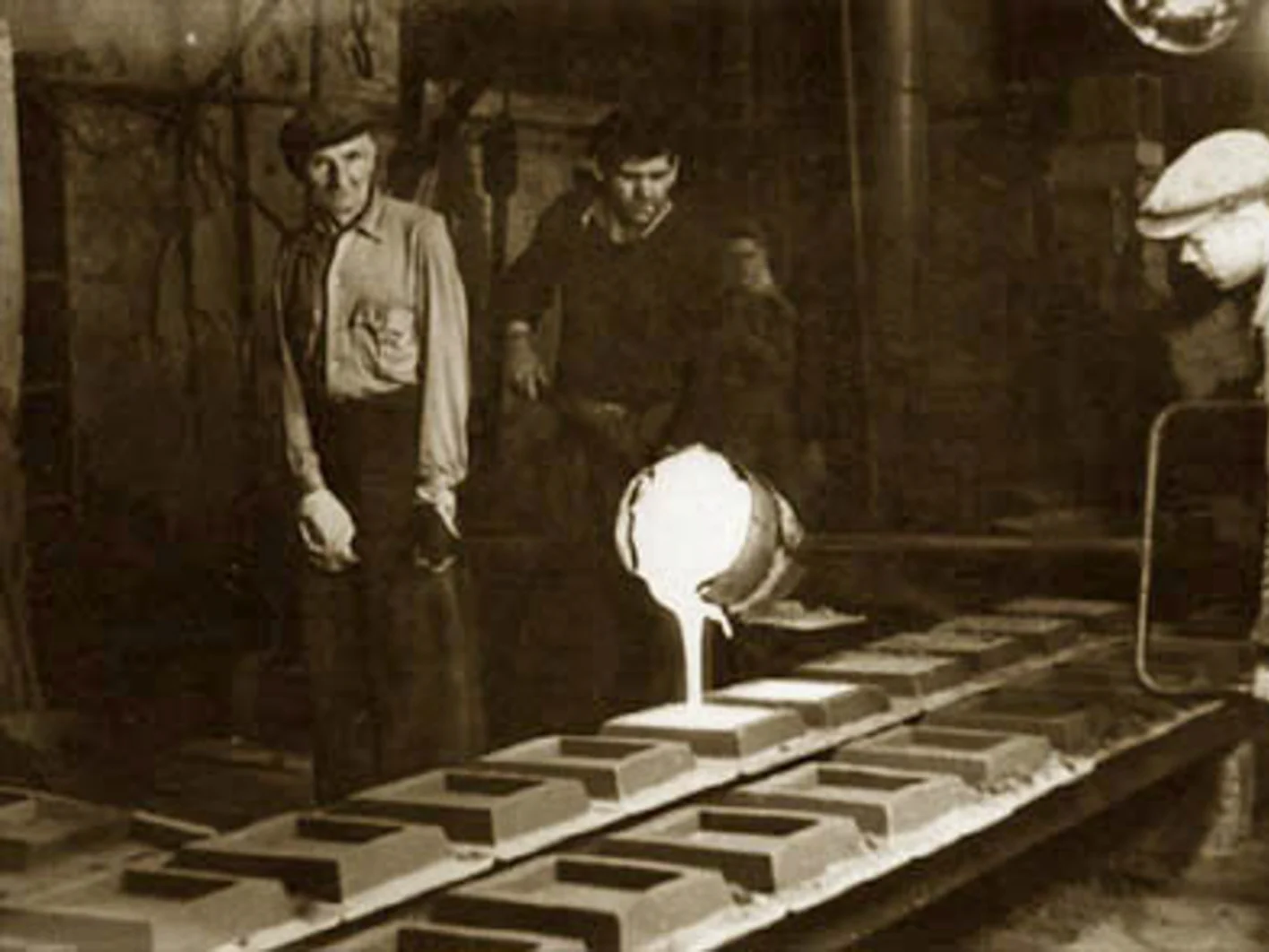 NB Plant Histrória