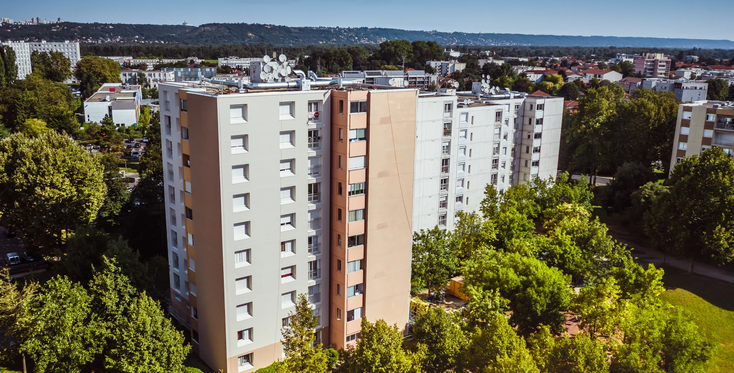 Les mouettes Vaulx en Velin