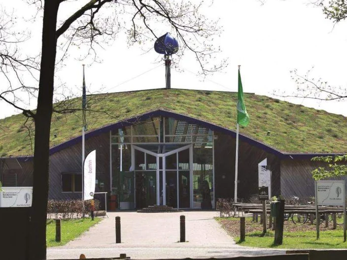 Extensive green roofs