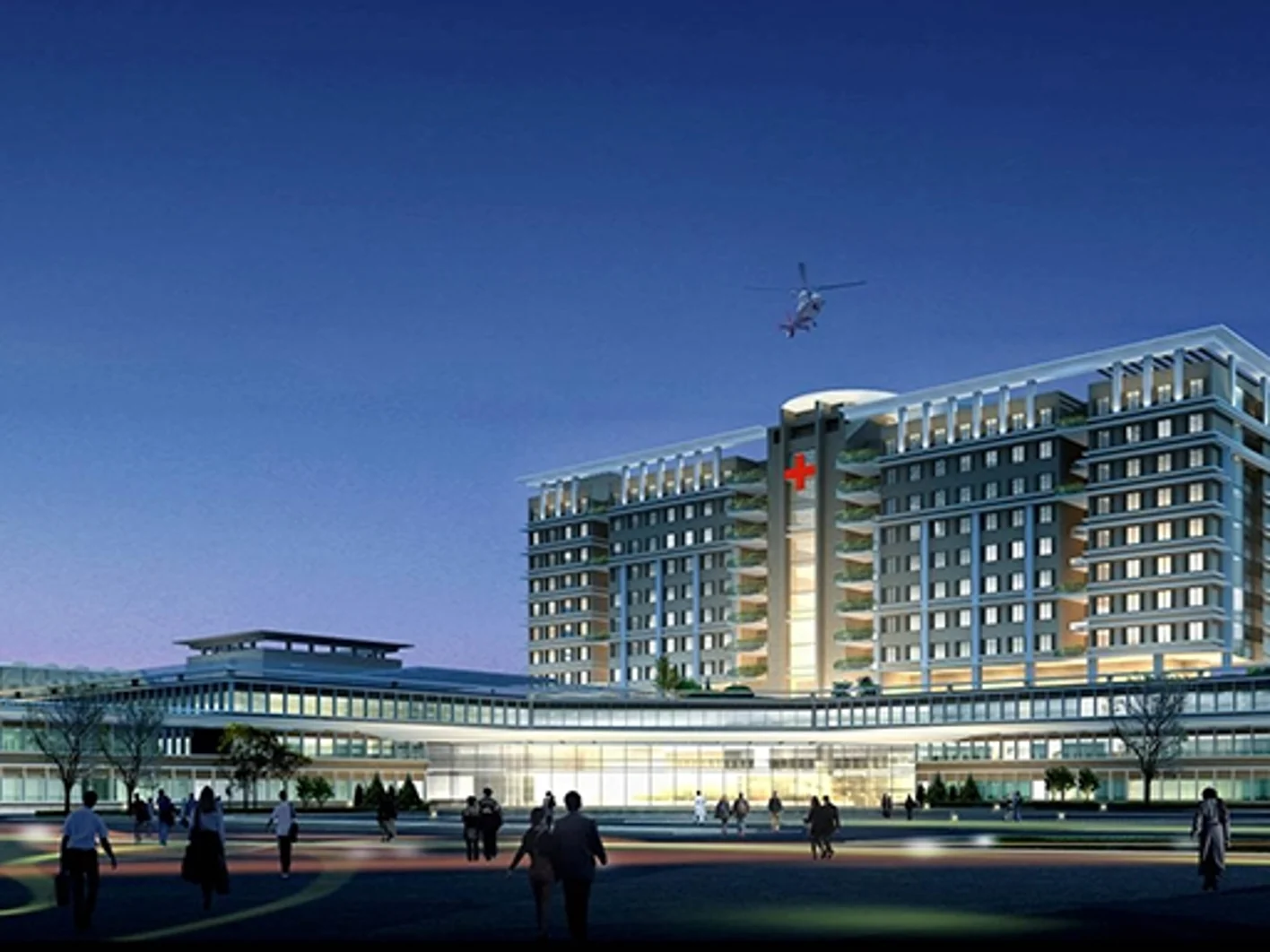 Government Project - Hospital Eastern Internation