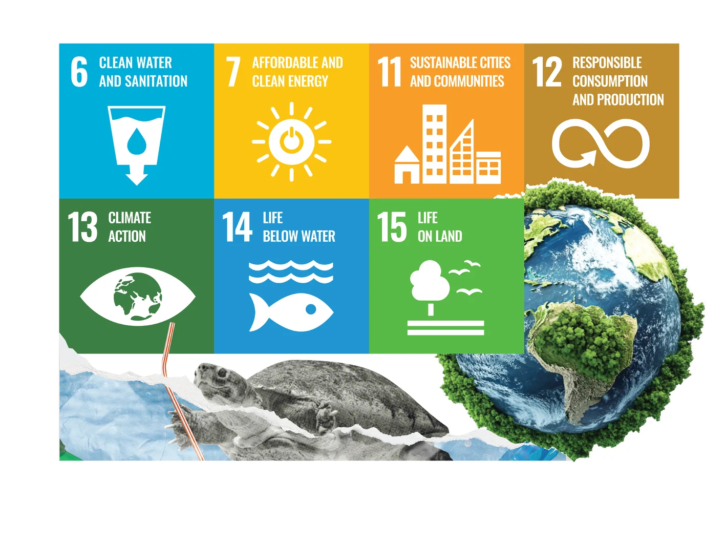 Sustainability - 5