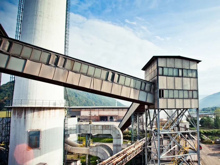NB Plant História