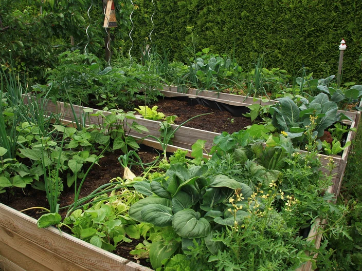 DE_KPM Privater Gartenbau