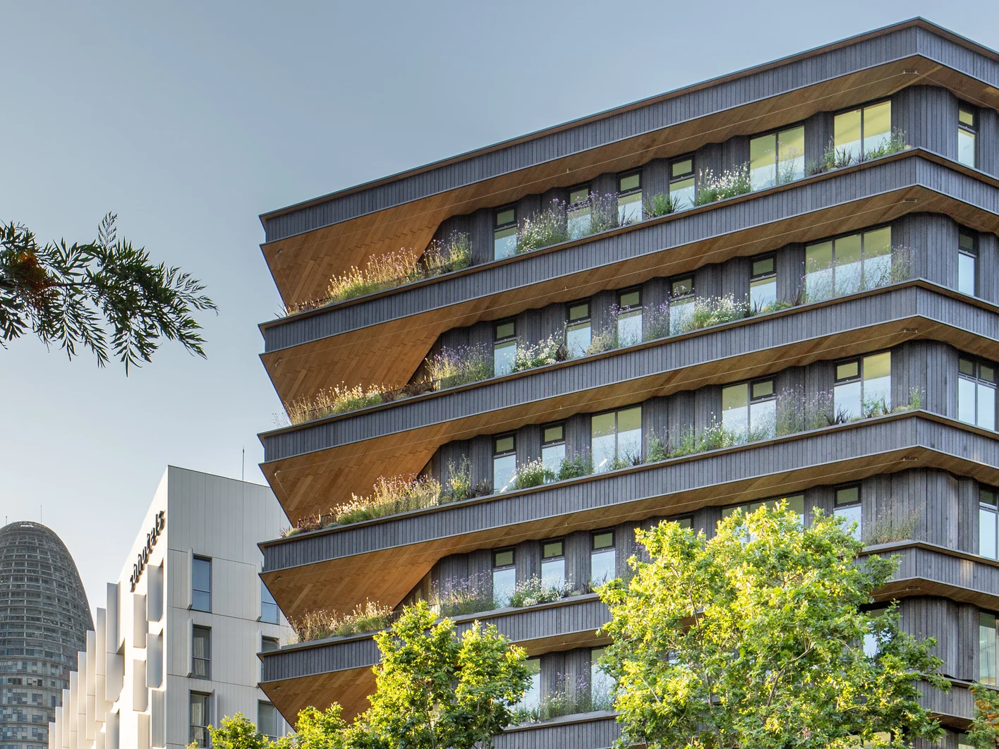 Oficinas Entegra Barcelona 7