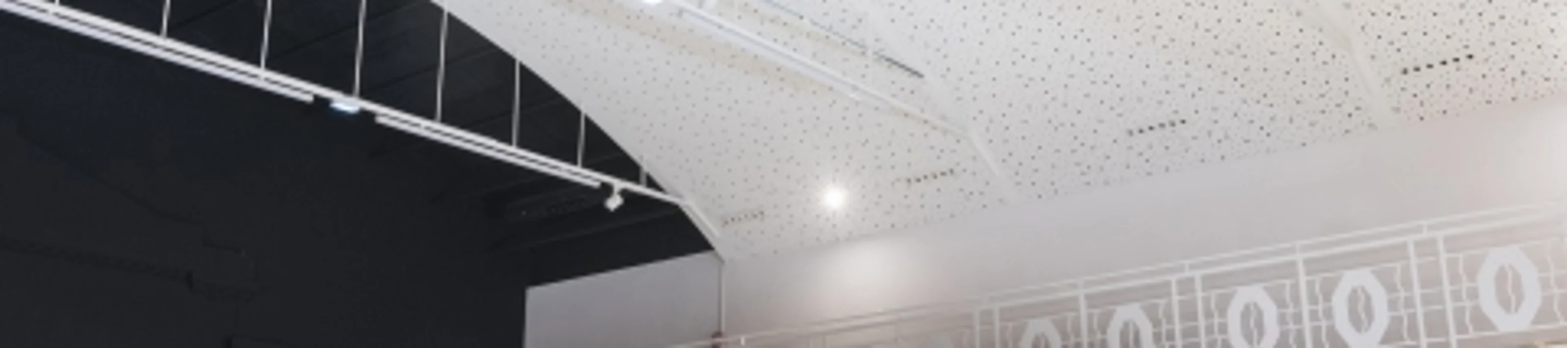 plafond acoustique esthétique cintre knauf delta