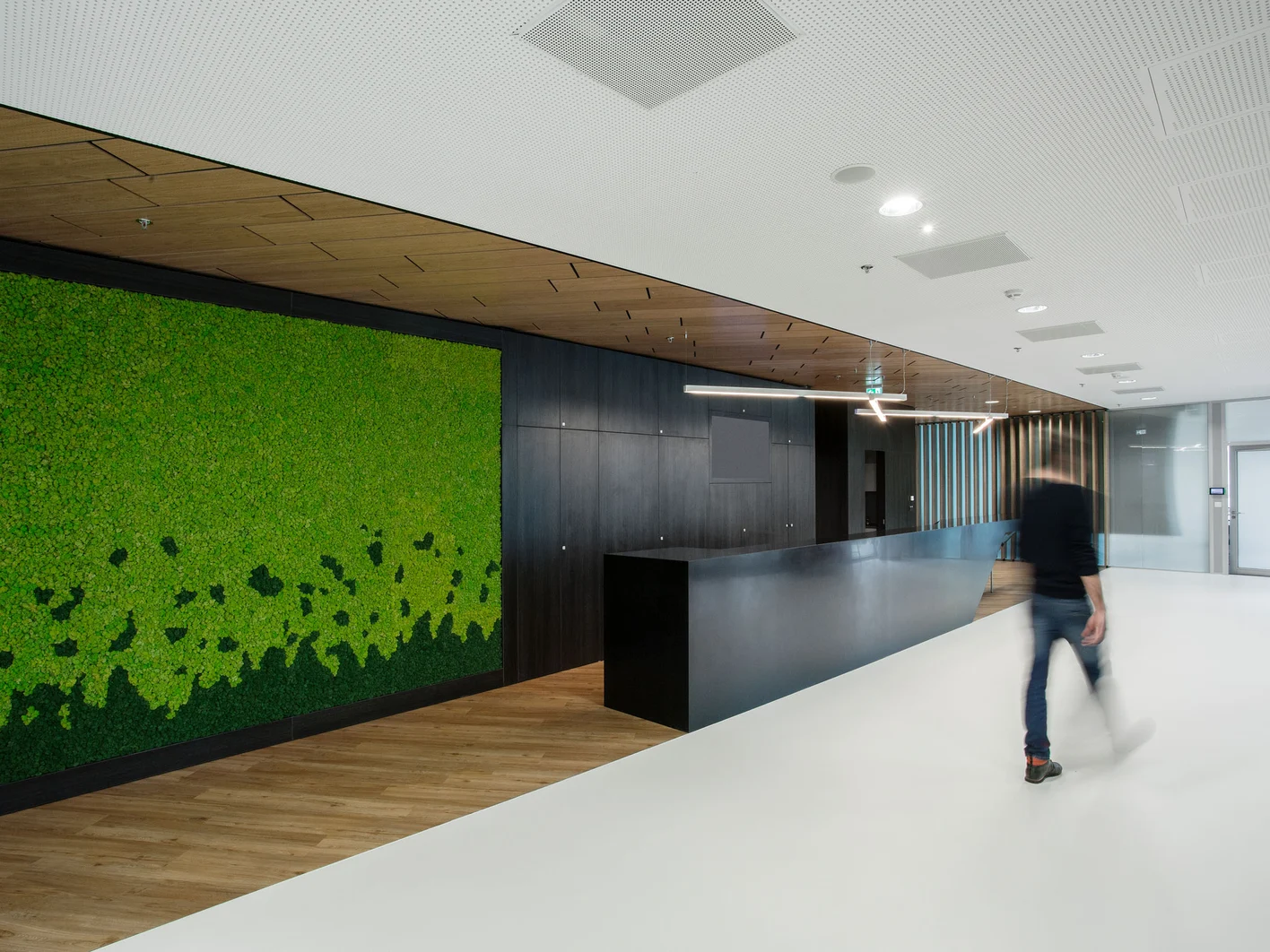SK-BASF-Office-Bratislava-08