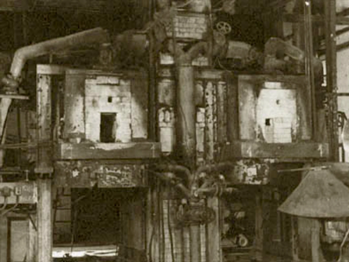 NB Plant Histrória