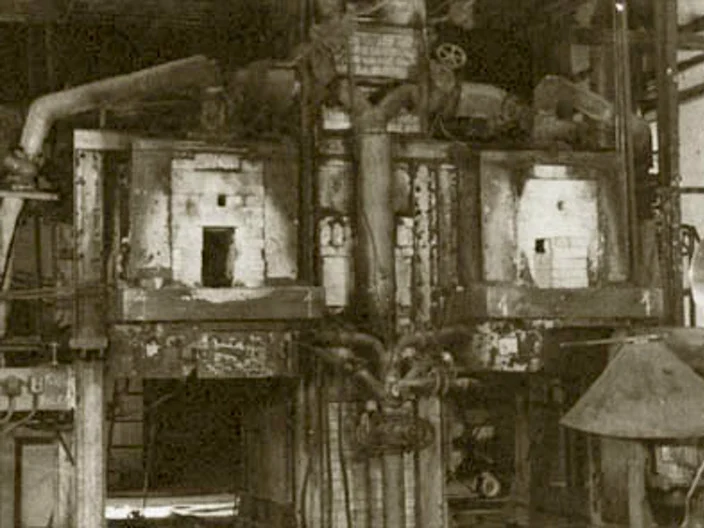 NB Plant Histrória