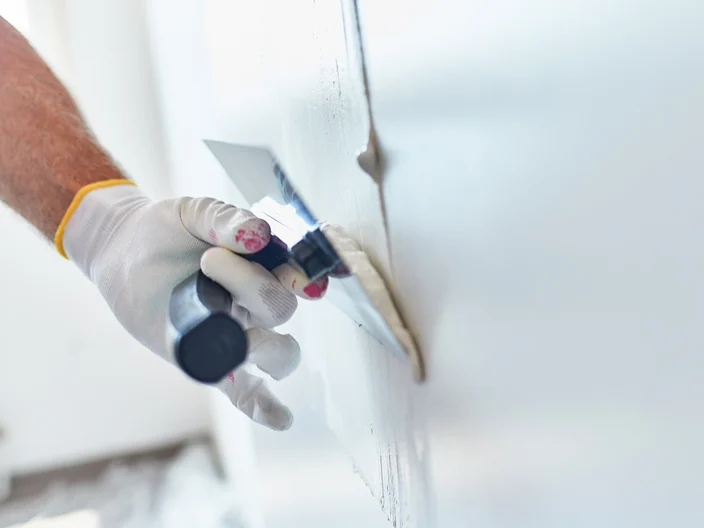 Home Painter