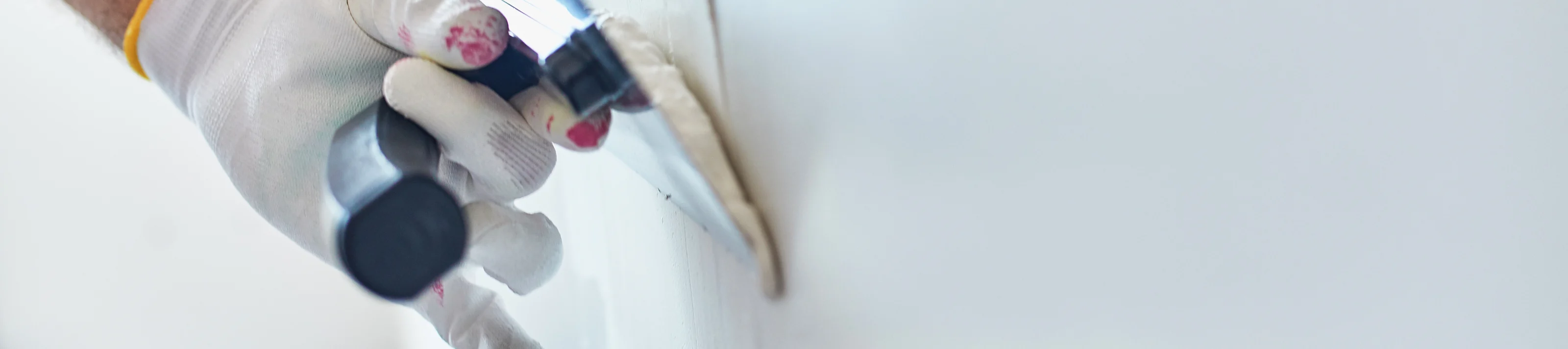 Home Painter