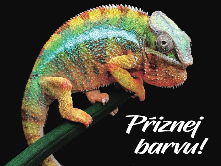 Sparuj.cz