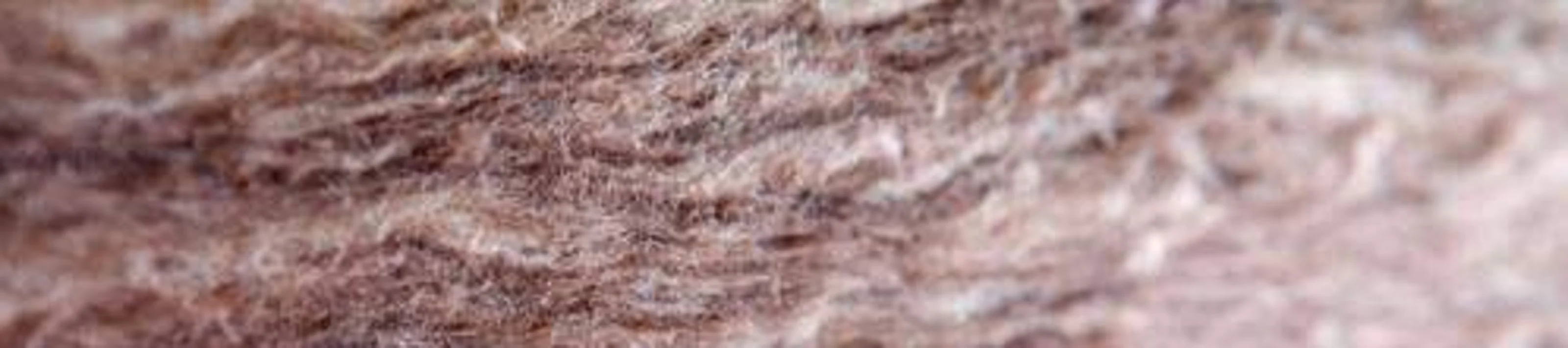 COPY_COPY_ID_2376_A_03 res-up
