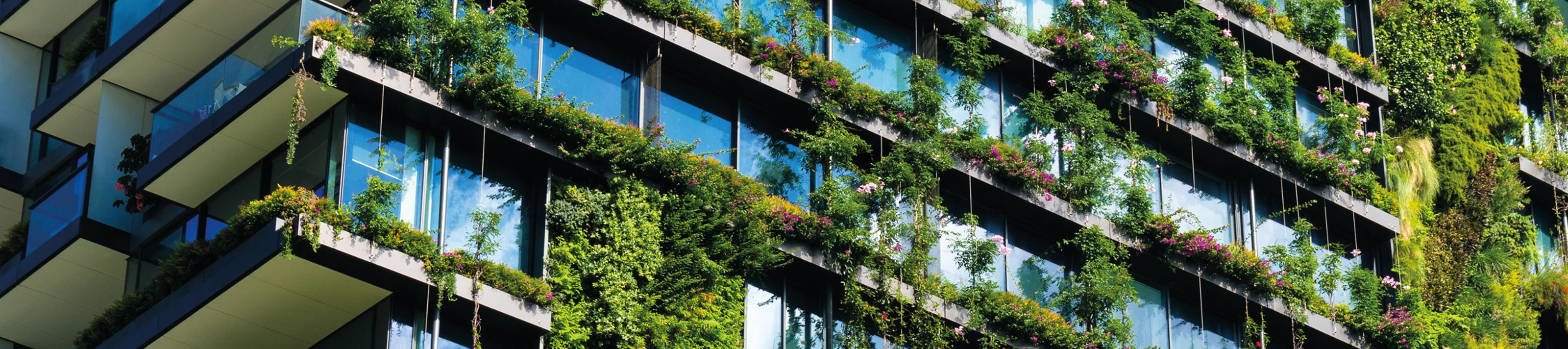 Leed - Ambient 7