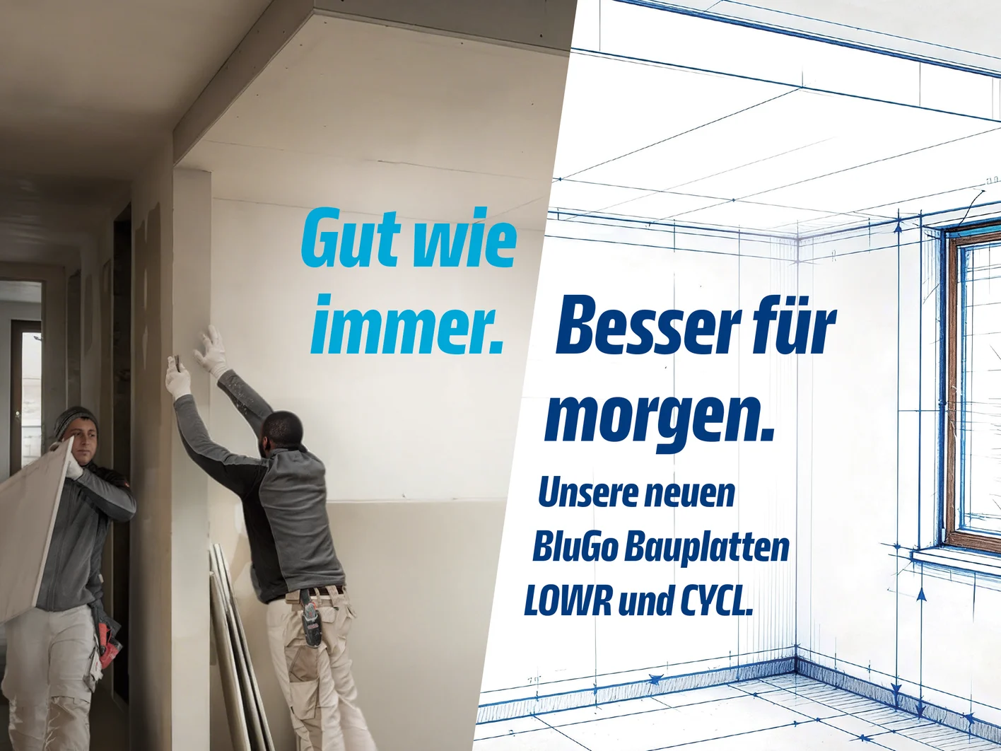 BluGo Visual für LOWR und CYCL