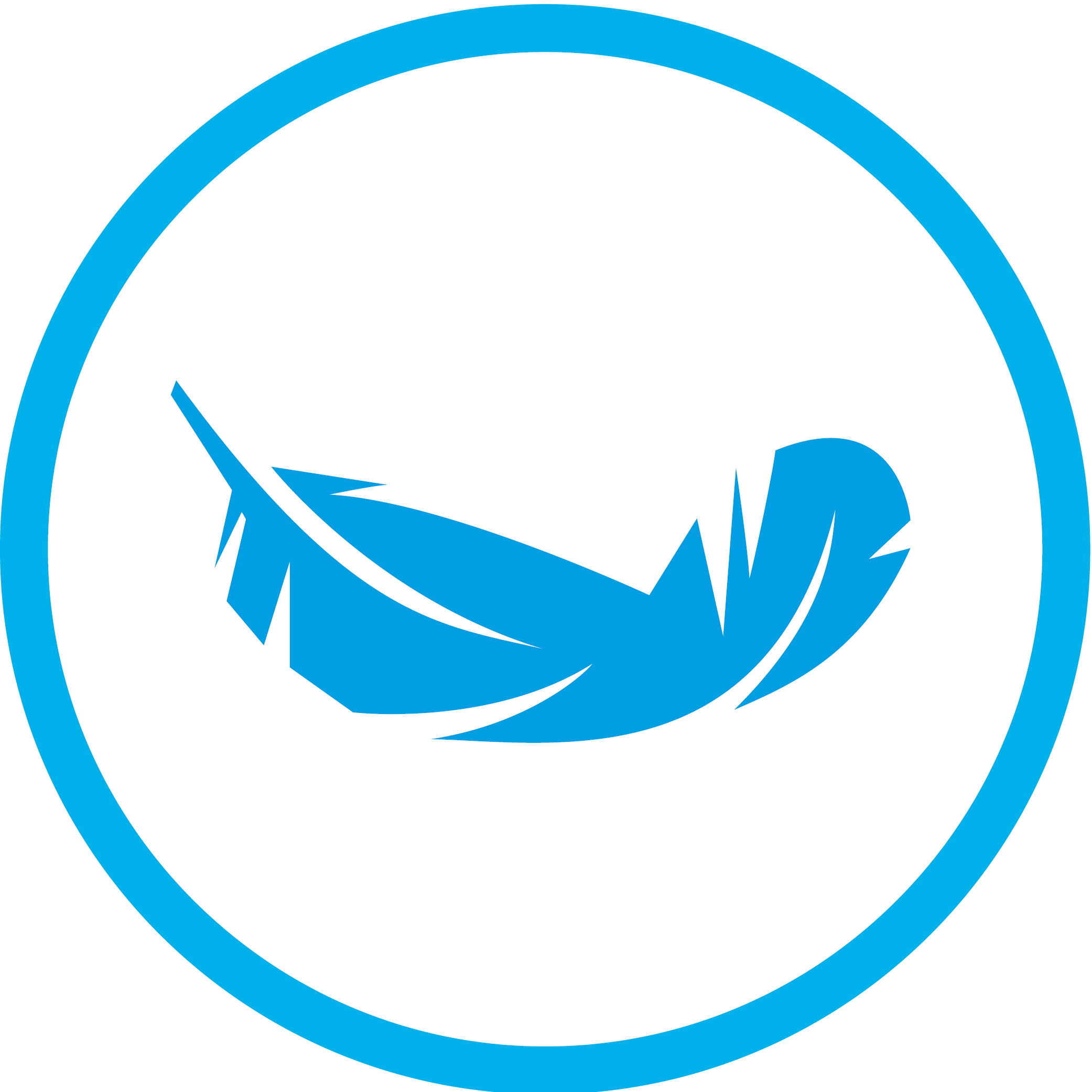 Picto légèreté