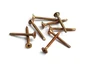 Knauf - Vis-Maxi-Screw-SB-AQUAPANEL