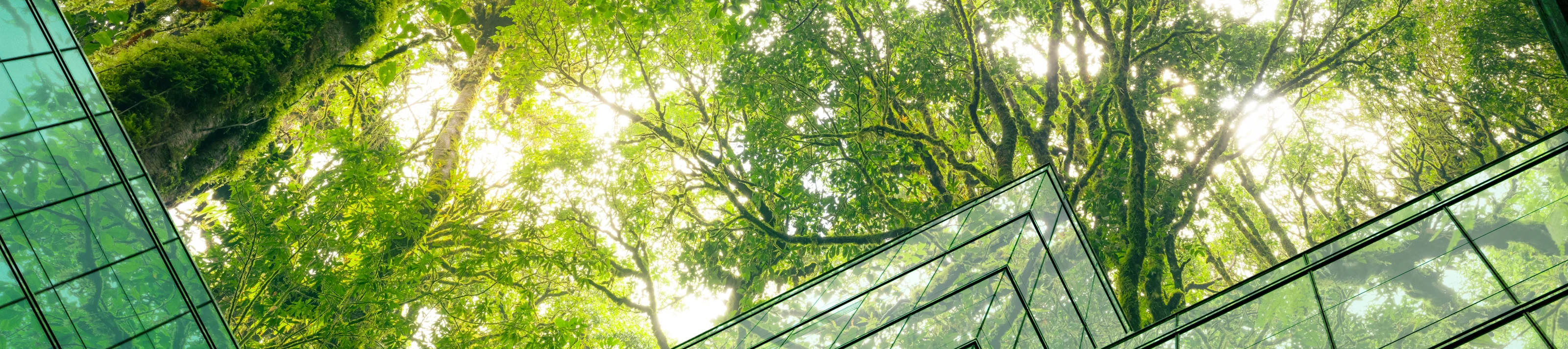 ECOSE embodied carbon