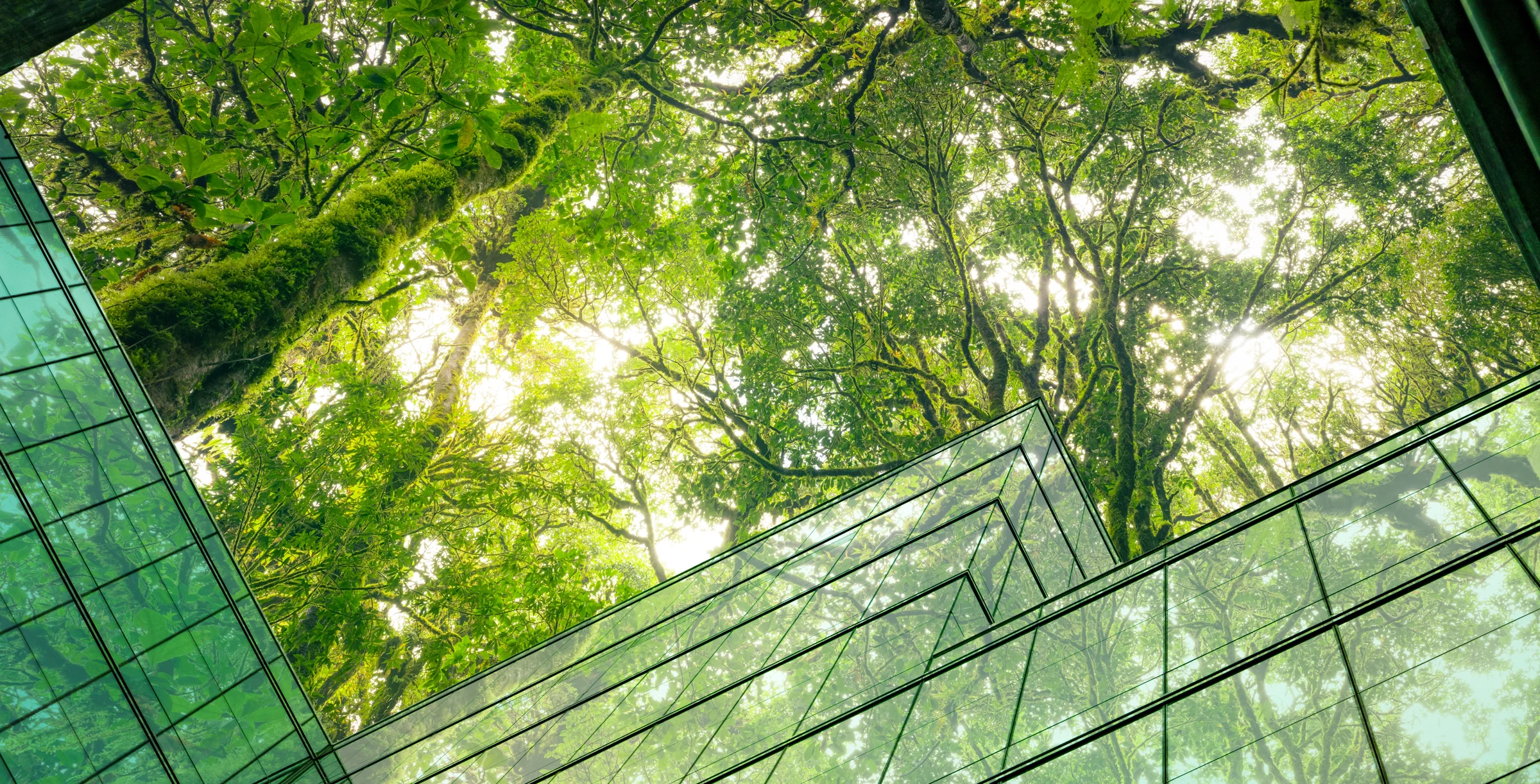 ECOSE embodied carbon