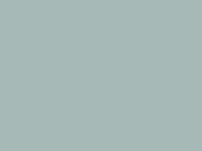 CeramikaPRO_silver_grey_11