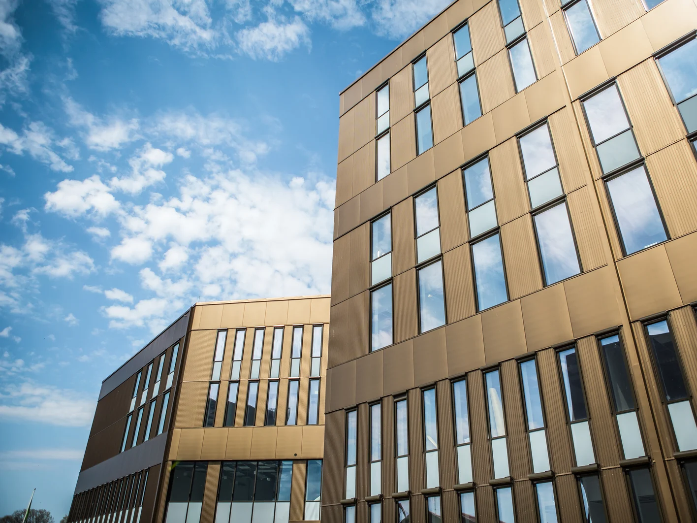 Knauf_Linneuniversitetet kalmar_10