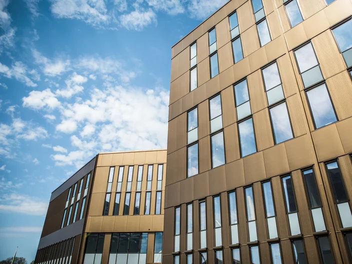 Knauf_Linneuniversitetet kalmar_10