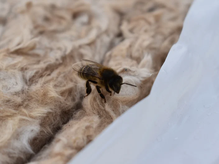 UK-reference-Gwent-Beekeepers-Wales
