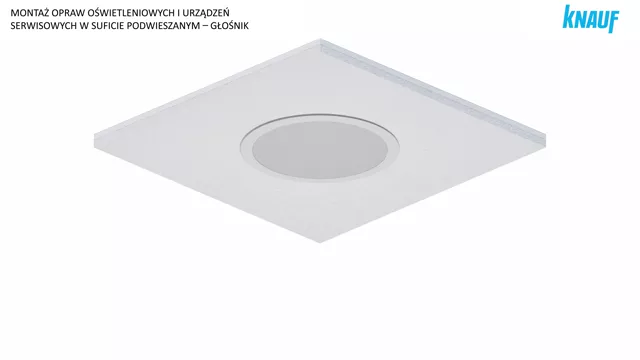 Service Integration - Speaker - Installation video (Polish)