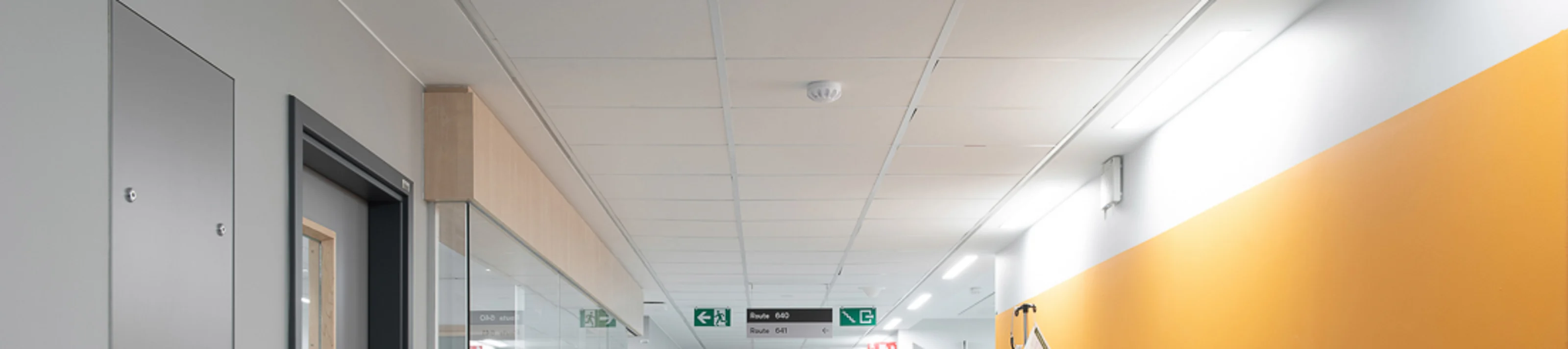 montlegia couloirs - knauf