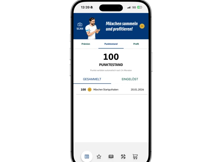 KnaufMAX Mäxchen sammeln Screenshot Punktestand