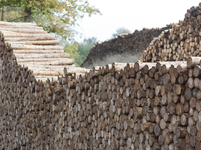 knauf fibre