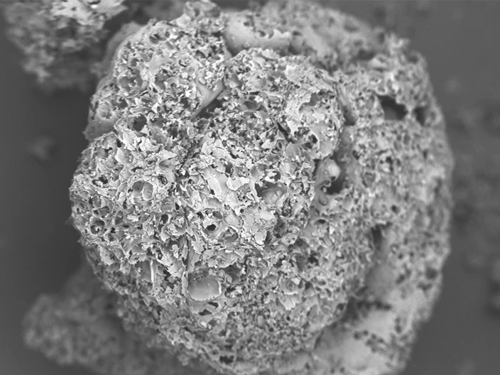 DE KPM Perligran Hydro Microscopy