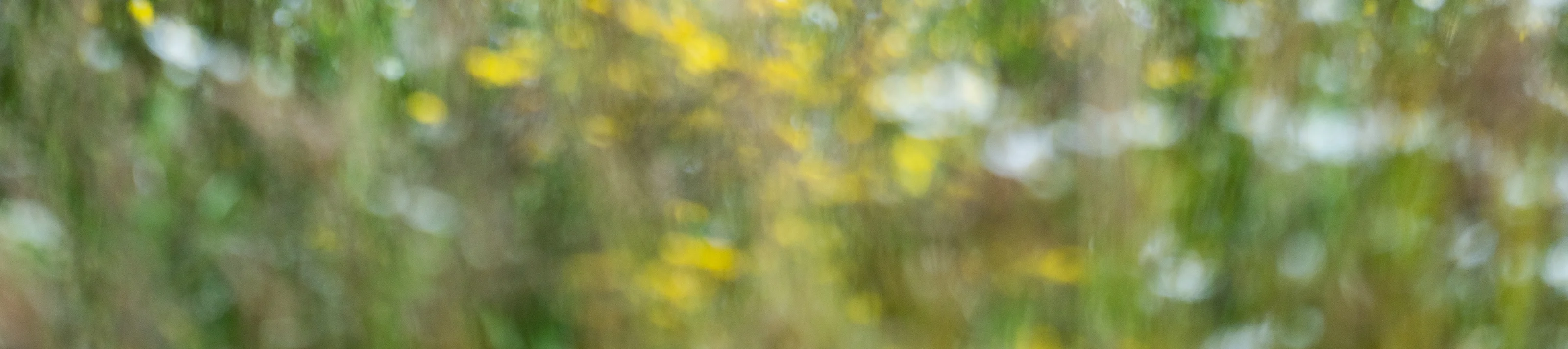 Mark-med-biodiversitet-hos-Knauf