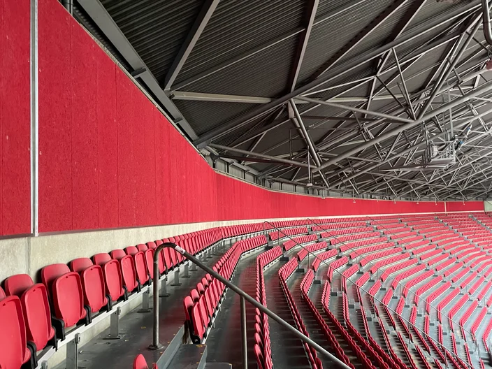 Amsterdam Arena Organic