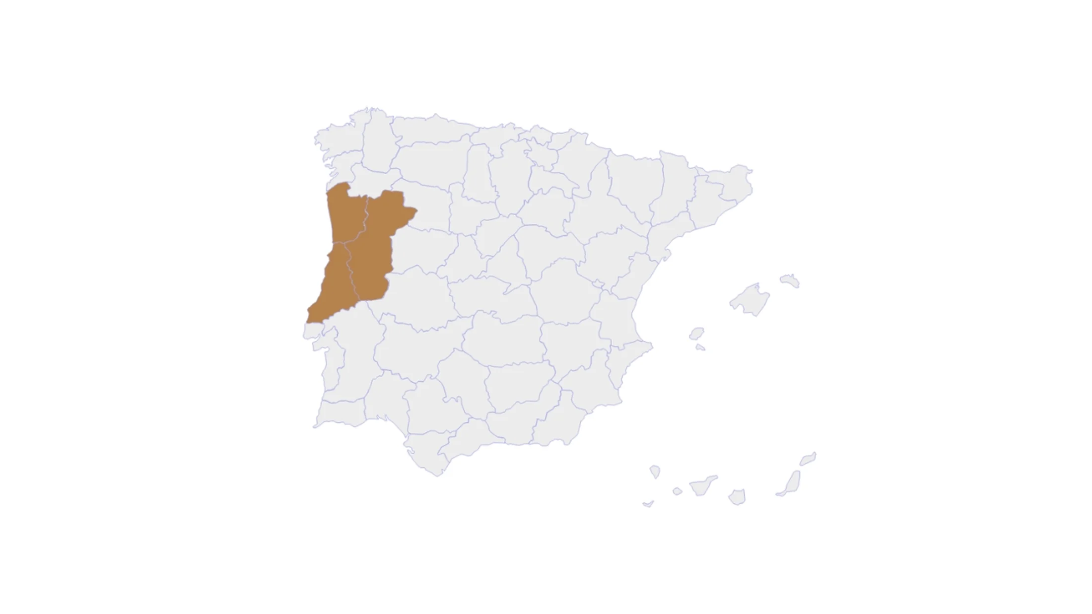 JORGE ESTEVES