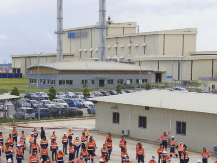 Johor Plant