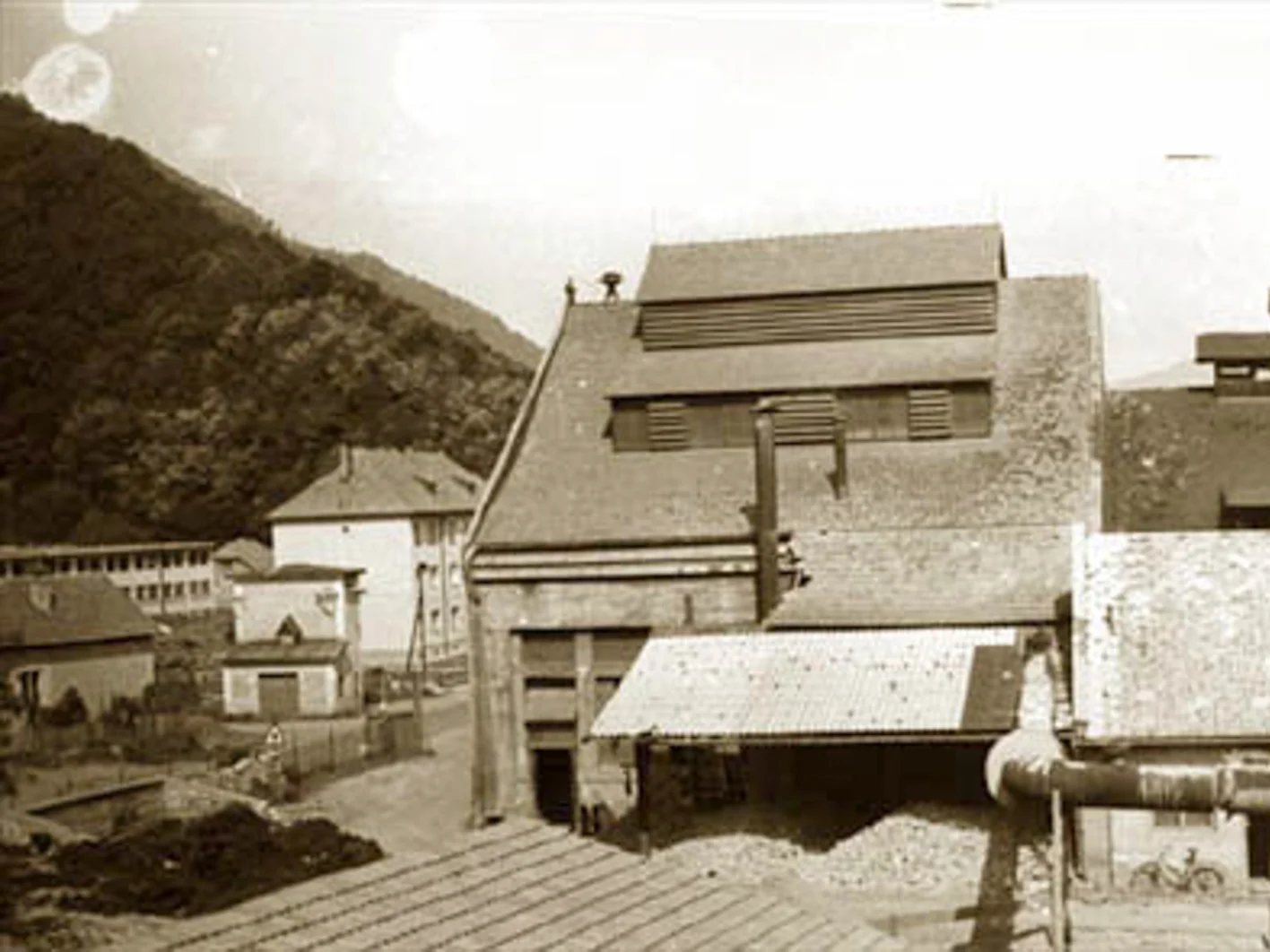 NB Plant Histrória
