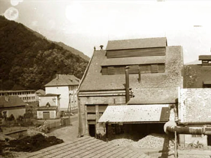 NB Plant Histrória