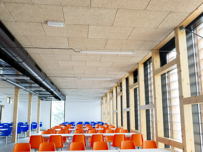 School_DSC9971