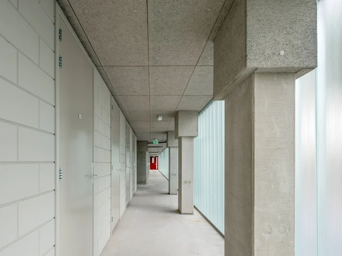 De Adelaar Hoogeveen