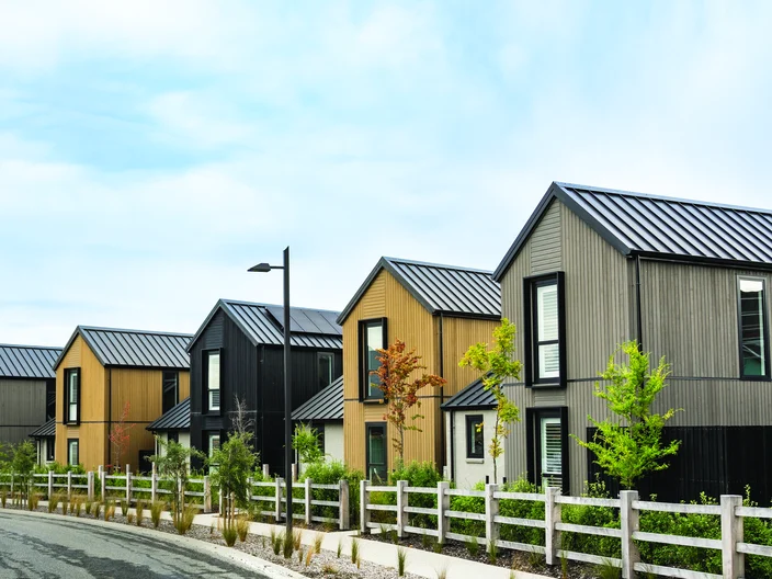 NZ homes
