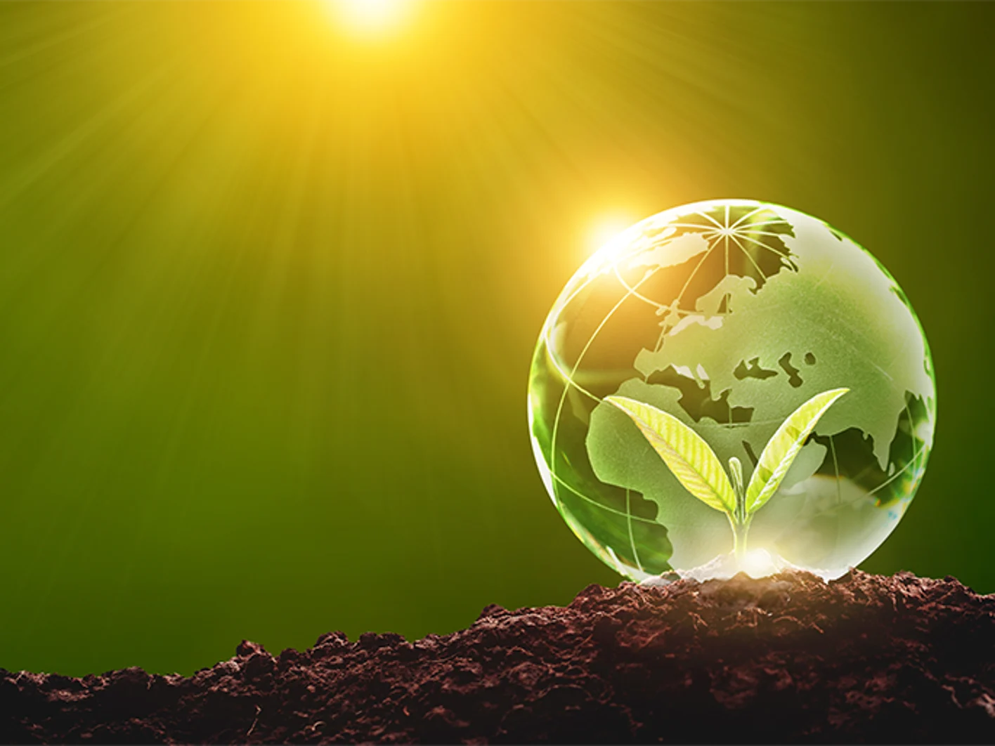 sustainability