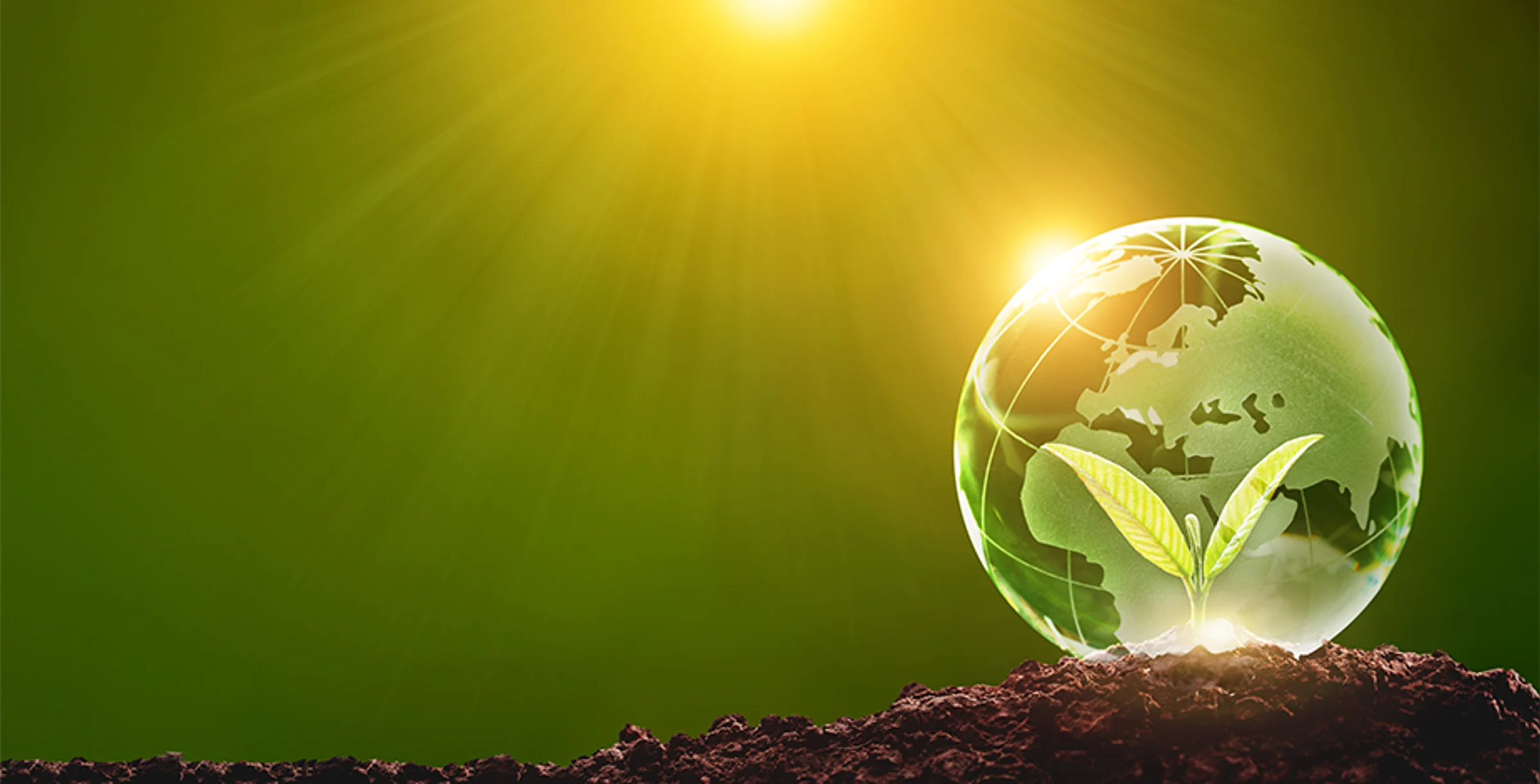 sustainability